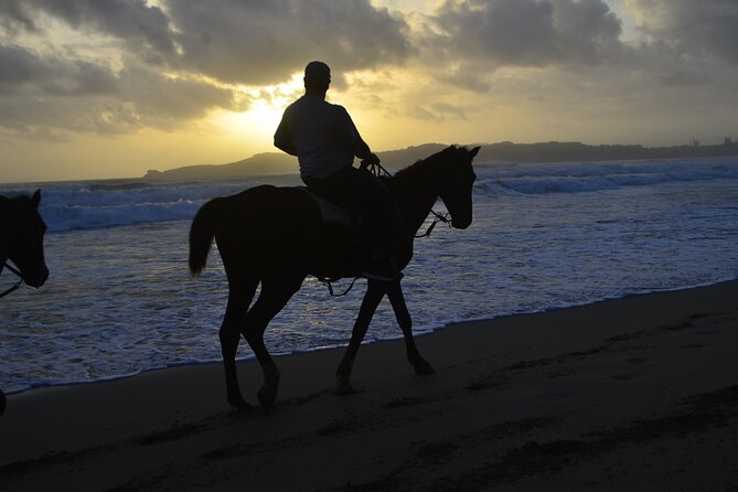 Horseback Riding at Sunrise on the Beach of Punta Cana - Final Thoughts