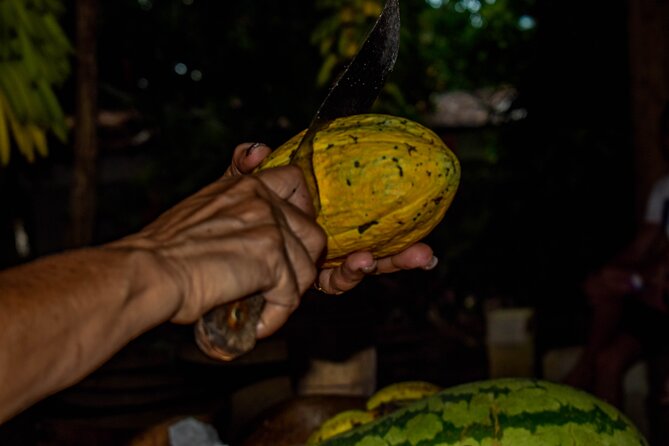 ECO TOUR Playa El Limon (Excursion Multi-activites) - FAQ