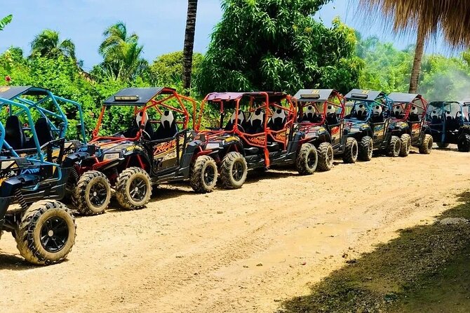 Guided Buggy Tour of Punta Cana - Final Thoughts
