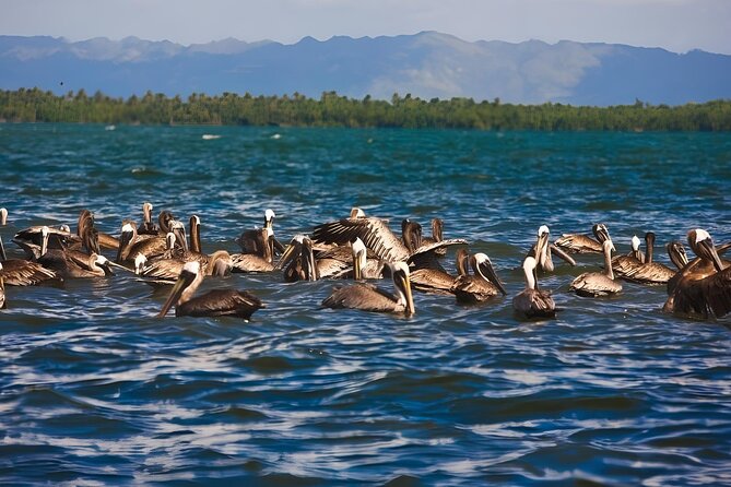 Tour of Los Haitises Montaña Redonda and Yanigua Waterfall in one day - The Sum Up