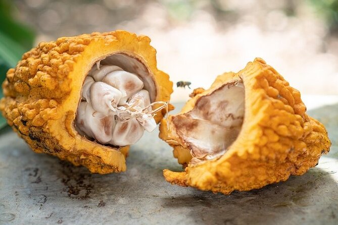 Half-Day Cultural Experience: History, Flavors & Local Artisans - A Closer Look at What You Can Expect