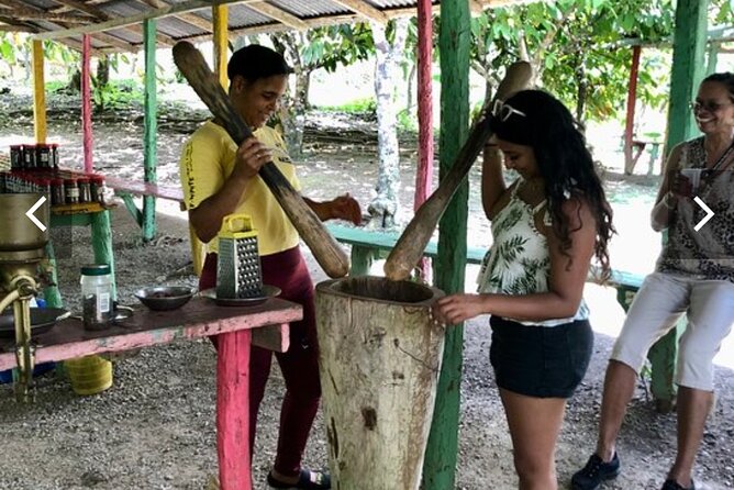 Half-Day Cultural Experience: History, Flavors & Local Artisans - Key Points