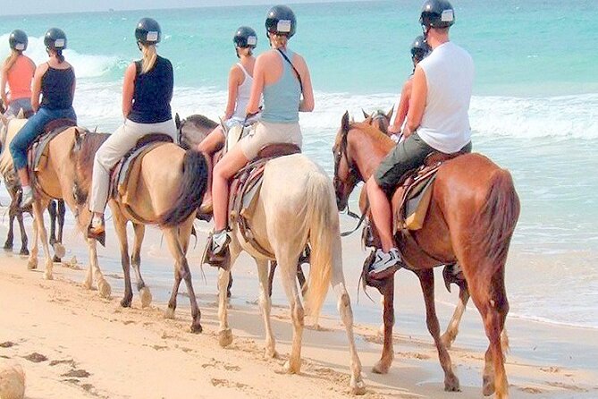 Punta Cana Horse Riding for Beaches in Field - Who Would Love This Tour?