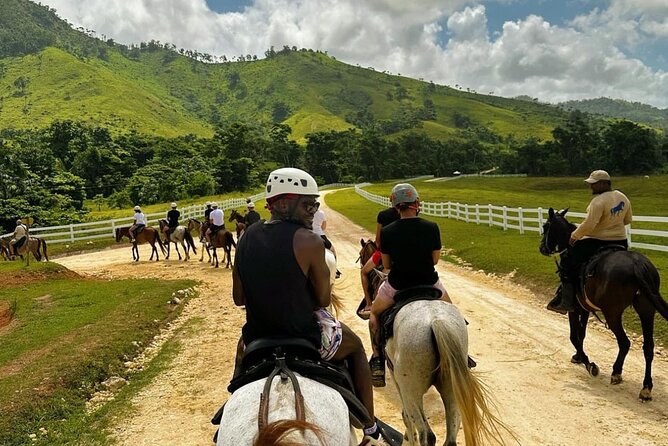 Punta Cana Horse Riding for Beaches in Field - Key Points