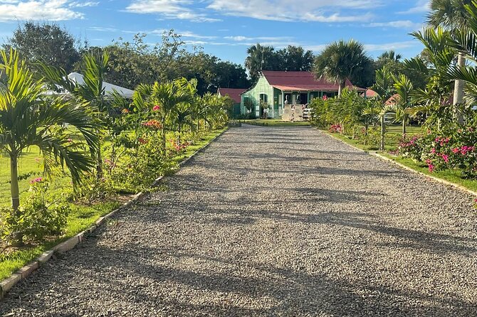 Punta Cana Horse Riding for Beaches in Field - FAQ