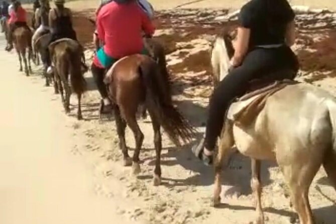 Buggies & Horses in Punta Cana: Double the Thrill in One Tour - Who Is This Tour Best Suited For?