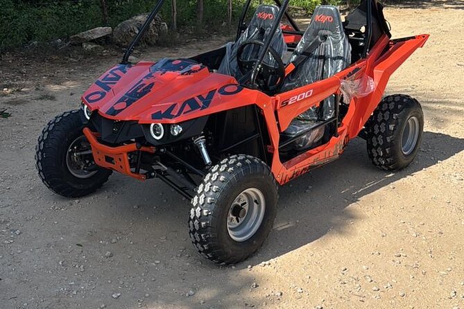 Guided Polaris Buggy Tour to Punta Cana - Guided Polaris Buggy Tour to Punta Cana