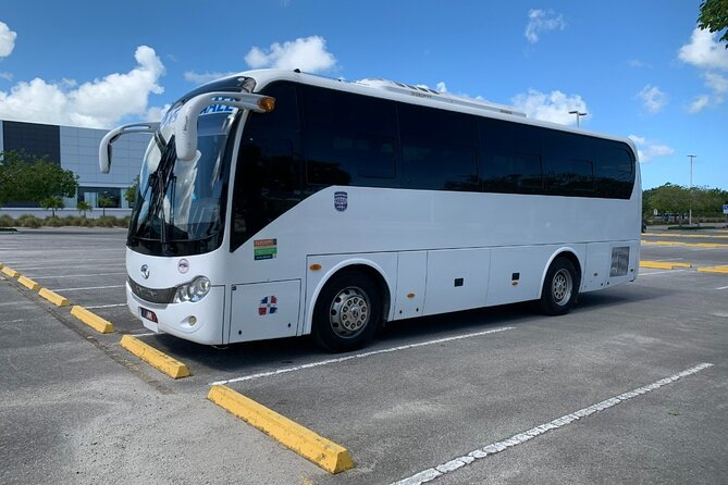 Transfer from Punta Cana Airport to Hotels in Punta Cana - Transfer from Punta Cana Airport to Hotels in Punta Cana: A Detailed Look