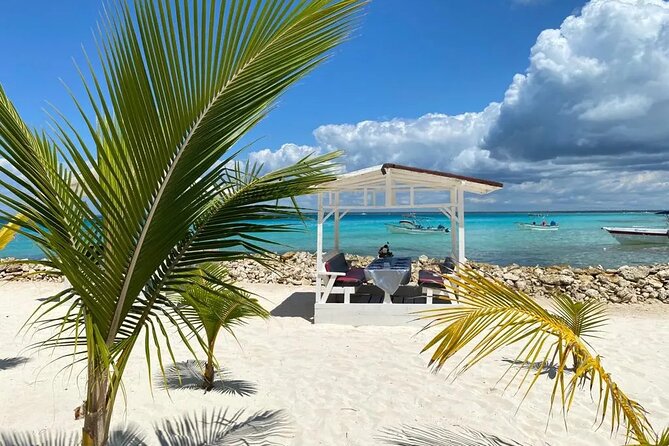 Full Day Private Tour of Bayahibe, Cotubanamá and Saona Island - FAQs