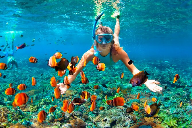 3 hrs Glass Boat Tour in Punta Cana - FAQ