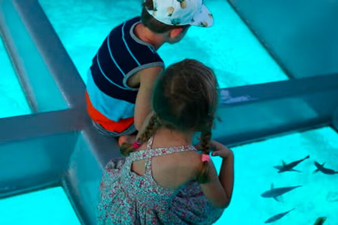 3 hrs Glass Boat Tour in Punta Cana - A Clear View of Punta Cana’s Underwater World: The Glass Boat Tour