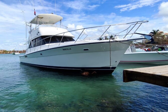 Saône VIP Island by Luxury Yacht - The Sum Up