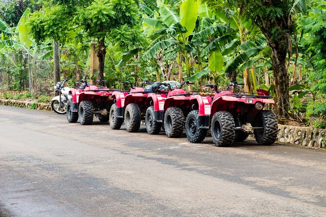 Private Half Day 4x4 ATV and Water Cave Tour At Punta Cana - A Practical Look at the Private Half Day 4x4 ATV and Water Cave Tour in Punta Cana