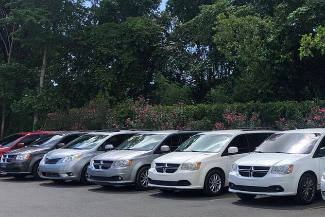 Punta Cana: Transportation from Punta Cana airport or hotel - Why Choose This Transfer Service?