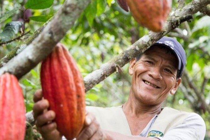 exciting cultural tour to Higüey adventure, history and fun - What You Can Expect from This Tour