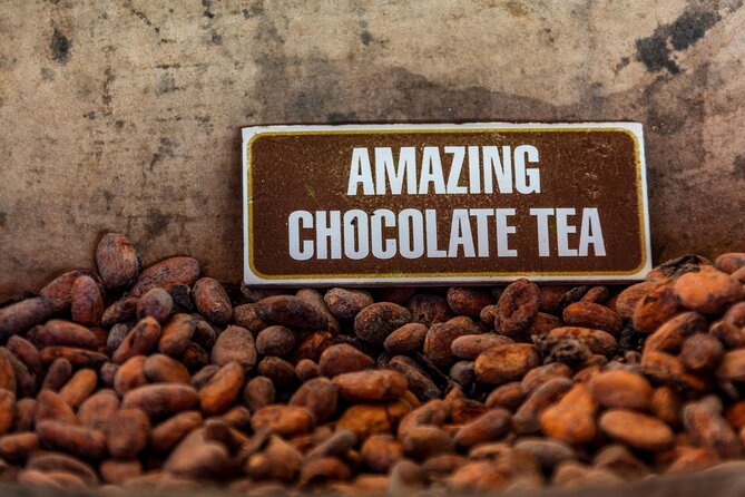 Macao Beach Buggy Safari & Cenote Swimming - FAQ