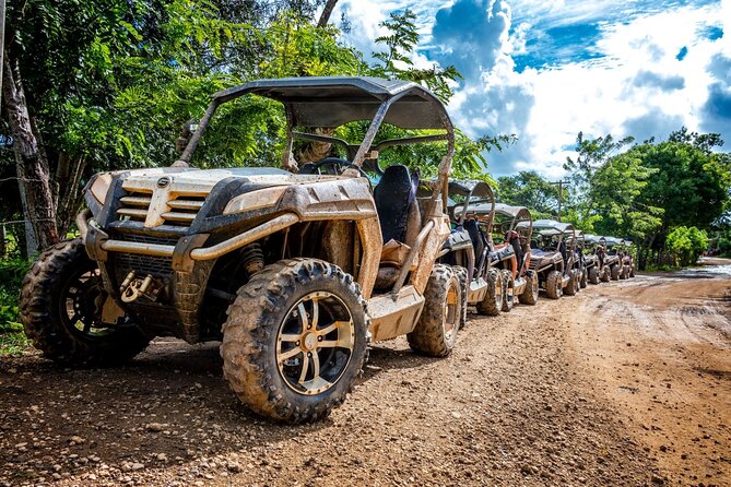 Macao Beach Buggy Safari & Cenote Swimming - What You Need to Know About the Macao Beach Buggy Safari & Cenote Swimming Tour