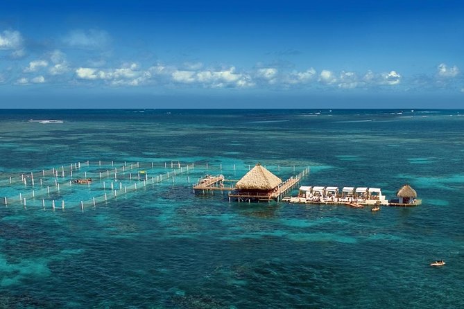 Reef Explorer Half Day Trip - Authentic Traveler Insights and Experiences