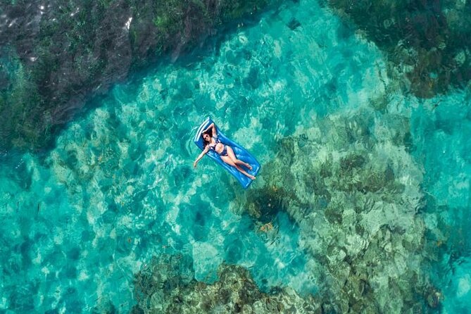 Reef Explorer Half Day Trip - The Sum Up