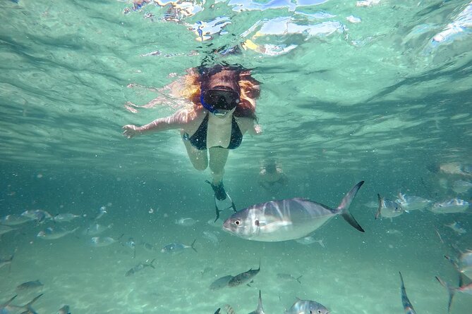 Reef Explorer Half Day Trip - Key Points