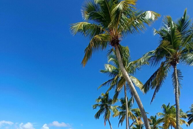 Los Haitises National Park, Montaña Redonda & Bacardi Island - The Sum Up: Who Will Love This Tour?