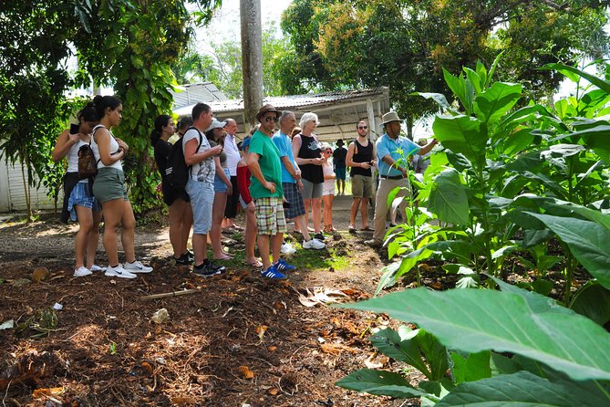 Safari Supreme Full Day Outdoor Adventure Punta Cana - Who Should Consider This Tour?