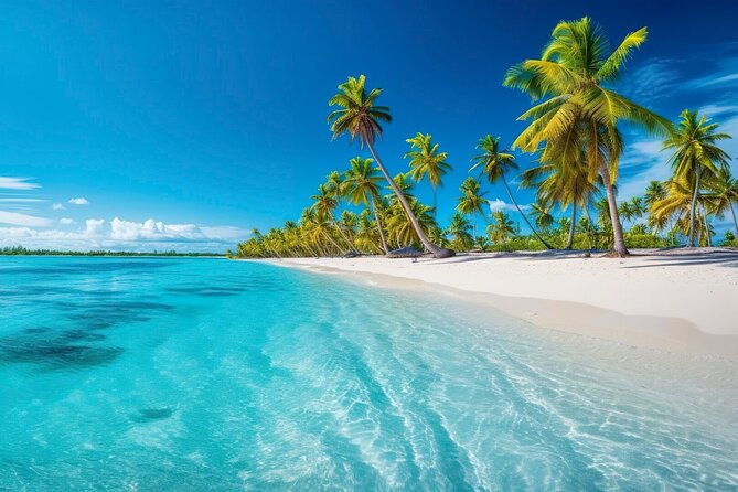 Explore Catalina Island & Snorkeling Adventure from Punta Cana - Exploring Catalina Island & Snorkeling Adventure from Punta Cana