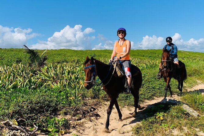 Punta Cana Horseback Ride: Jungle, Macao Beach & Free Pick Up - Final Thoughts