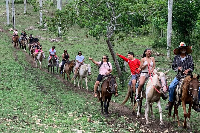 Horseback Riding with Pickup from Punta Cana - A Genuine Ride Through the Dominican Countryside: Horseback Riding with Pickup from Punta Cana