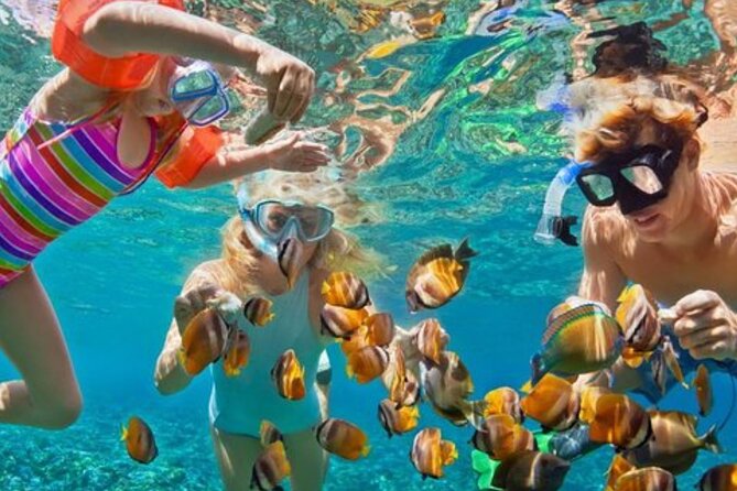 Hip hop party boat cruise & Snorkel: Wonderful time in Punta Cana - FAQ Section