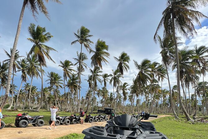 Tropical Quads (2 PERSONS PER QUADS ) - Authentic Experiences and Honest Feedback
