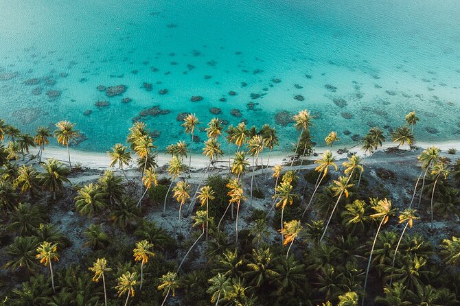 Tropical Quads (2 PERSONS PER QUADS ) - A Deep Dive into the Tropical Quads Experience