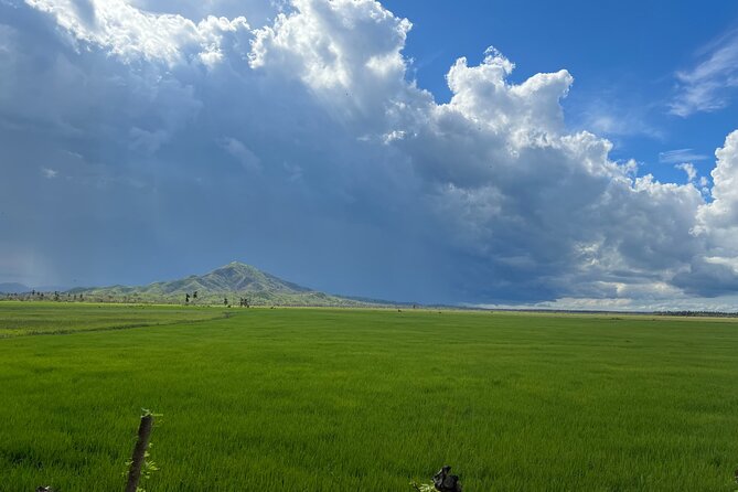 Tropical Quads (2 PERSONS PER QUADS ) - Who Will Enjoy This Tour?