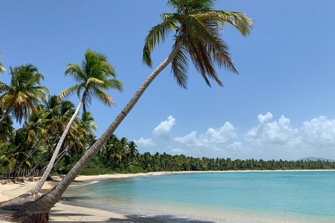 Tropical Quads (2 PERSONS PER QUADS ) - Final Thoughts