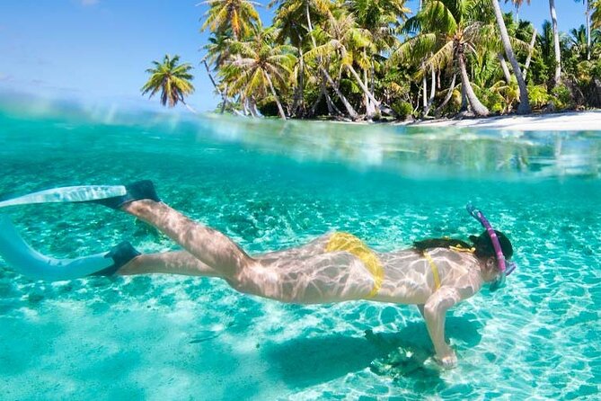 Saona Island 3 Beaches - What Travelers Are Saying