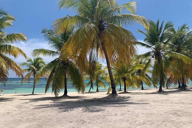 Saona Island 3 Beaches - Detailed Review of the Saona Island 3 Beaches Tour