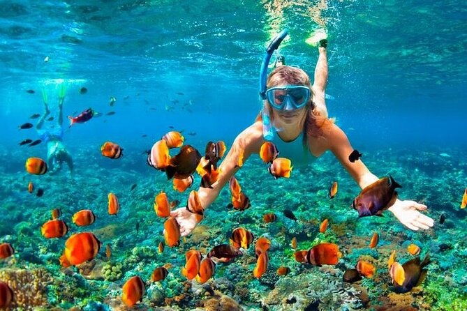 Speed Boat Extreme from Punta Cana - The Full Guide to Speed Boat Extreme from Punta Cana