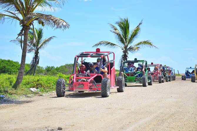Extreme Buggy Adventure from Punta Cana / transportation included - Exploring the Wild Side: Extreme Buggy Adventure from Punta Cana