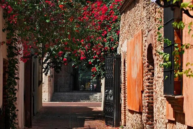 Historical Santo Domingo Day Trip from Punta Cana - Who Should Consider This Tour?