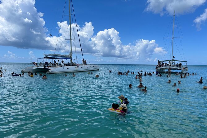 Saona Island Day Tour - Transport, Group Size, and Timing