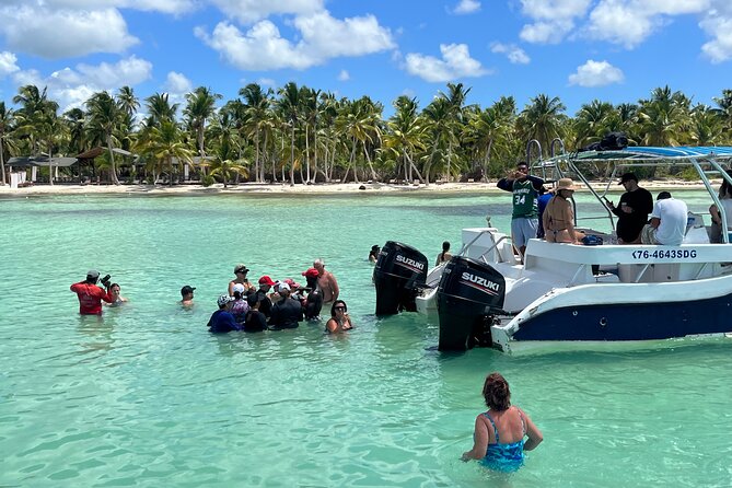 Saona Island Day Tour - Who Should Consider This Tour?