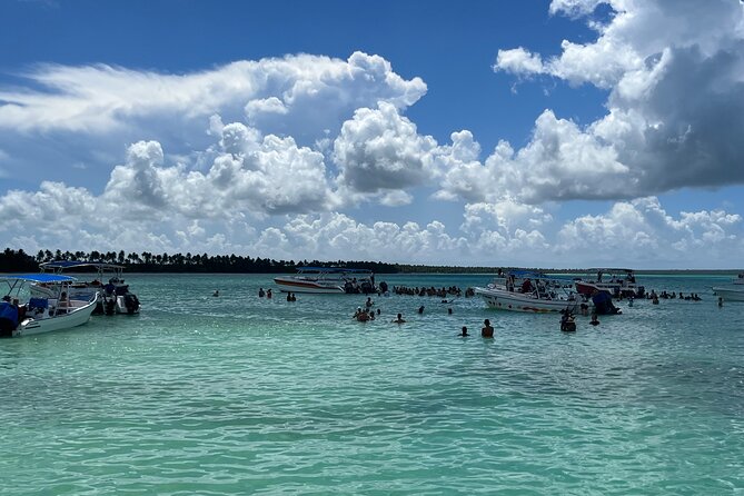 Saona Island Day Tour - Is This Tour Worth the Price?