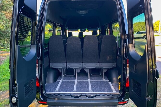 Transfer: Punta Cana PUJ Airport to Punta Cana Hotels by MiniBus - In-Depth Look at the Transfer Experience