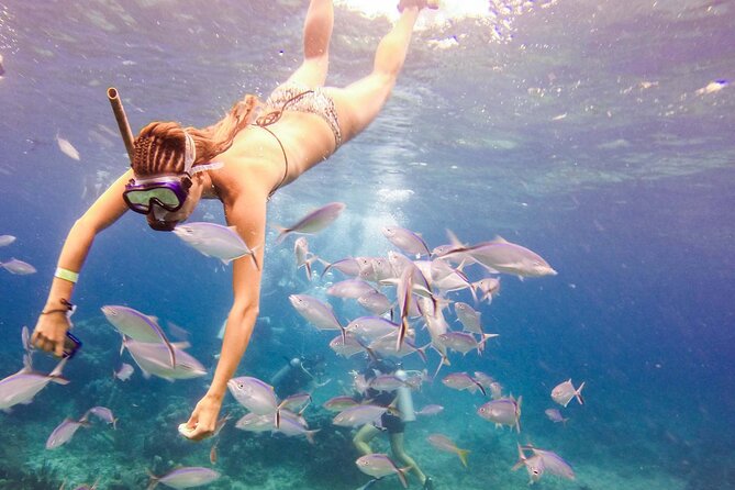 Tours to Saona Island - Practical Tips for Your Saona Island Tour