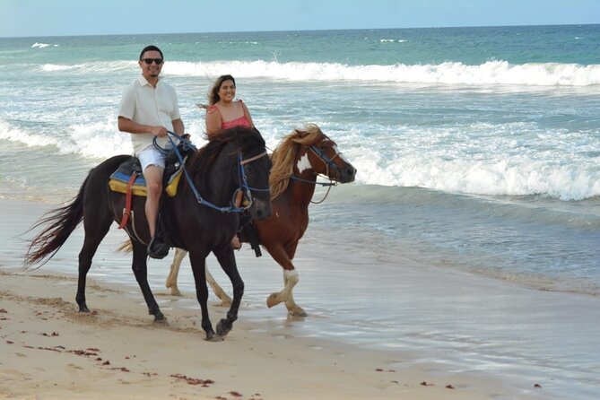 Want to Learn to Gallop at Bavaro Punta Cana Beach! - Why This Tour Offers Good Value