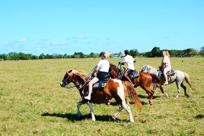 Want to Learn to Gallop at Bavaro Punta Cana Beach! - Frequently Asked Questions