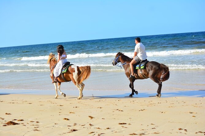 Want to Learn to Gallop at Bavaro Punta Cana Beach! - Who Should Consider This Experience?