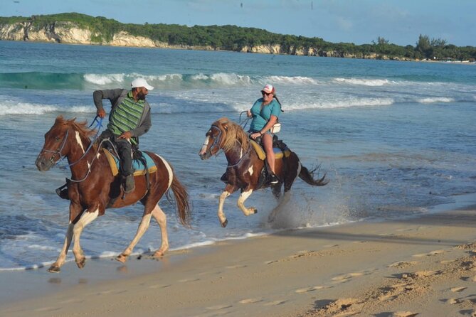 Want to Learn to Gallop at Bavaro Punta Cana Beach! - Experience the Beauty of Punta Cana on Horseback