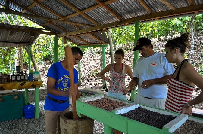 Cultural Safari Tour from Punta Cana - Key Points