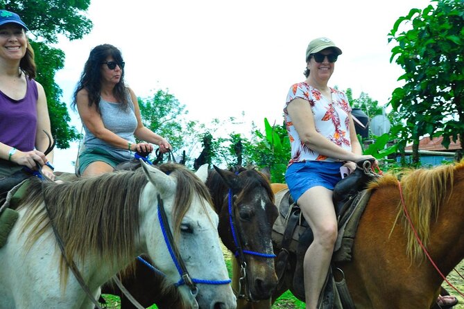 Outdoor Adventure Safari from Punta Cana - Final Thoughts: Who Is This Tour Best For?